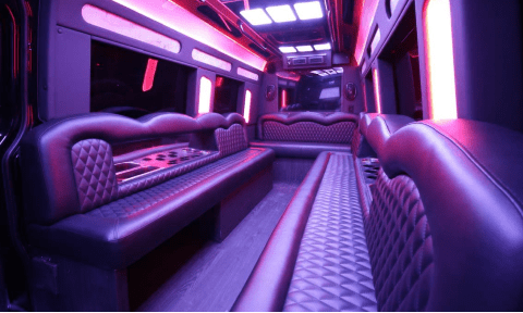 Hendersonville 14 Passenger Sprinter Bus Interior