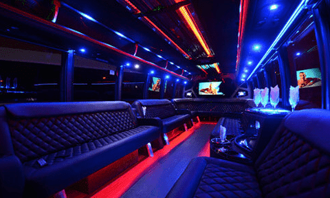 Smyrna 30 Passenger Party Bus Black Interior